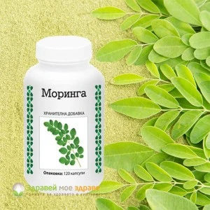 Моринга