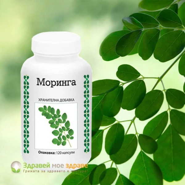 Моринга