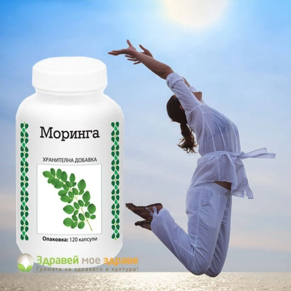 Моринга